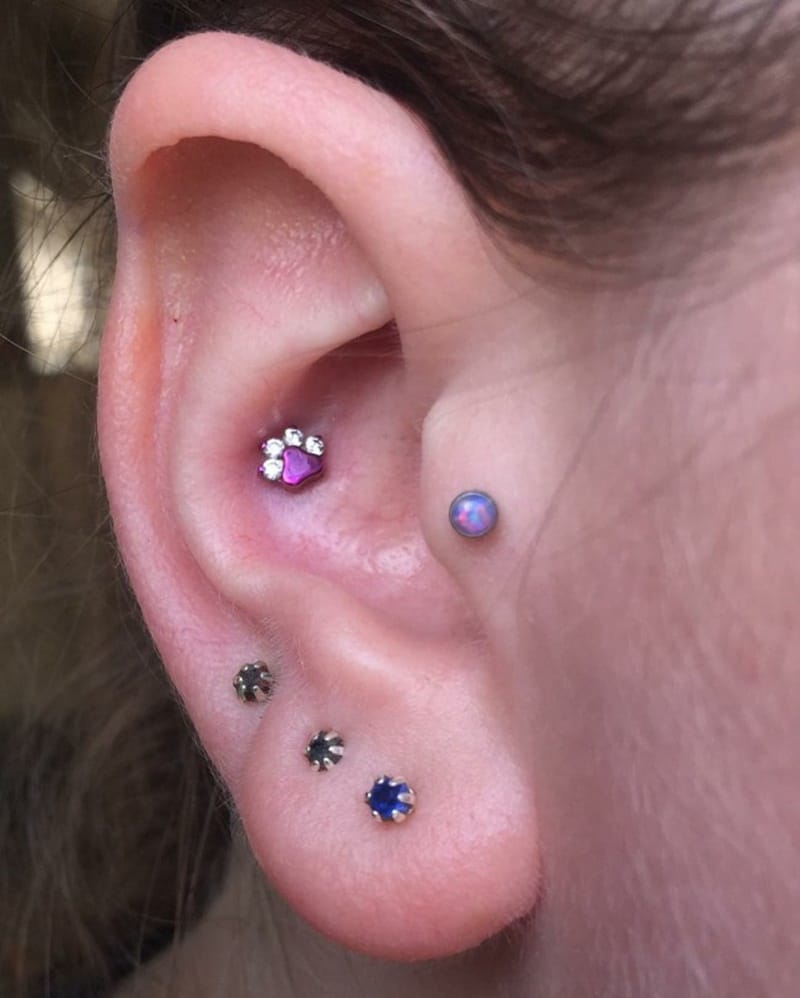 conch-piercing